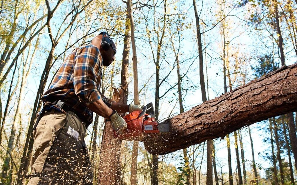 Best Chainsaws For Cutting Trees
