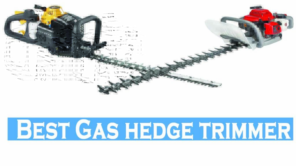 best gas hedge trimmer for lawn,garden, and landscape