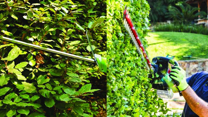 best hedge trimmer for thick branches