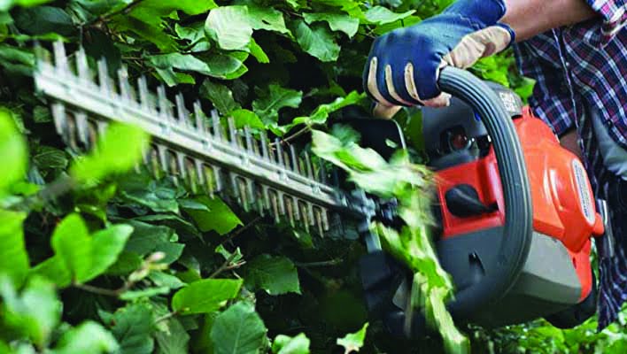 best gas hedge trimmer