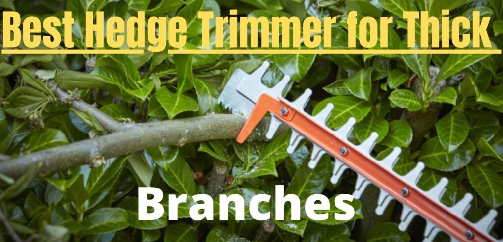 Best Electric Hedge Trimmer For Thick Branches