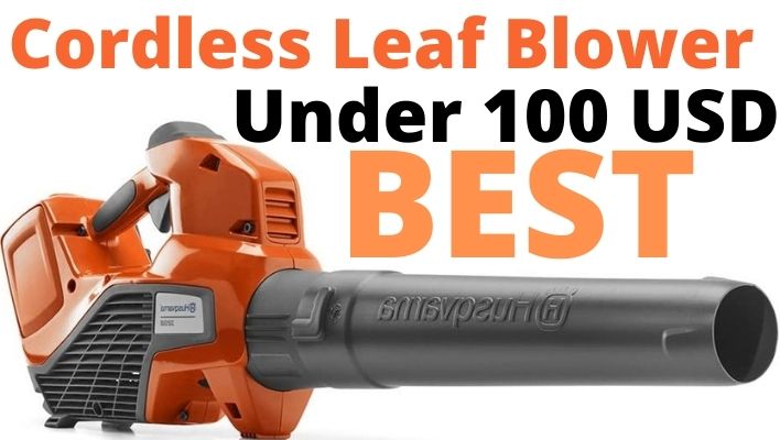 Best Cordless Leaf Blower Under 100