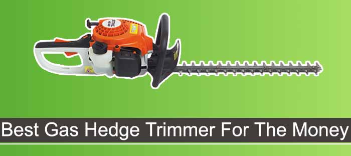 Best Gas Hedge Trimmer For The Money