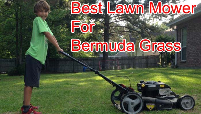 Best-Lawn-Mower-For-Bermuda-Grass