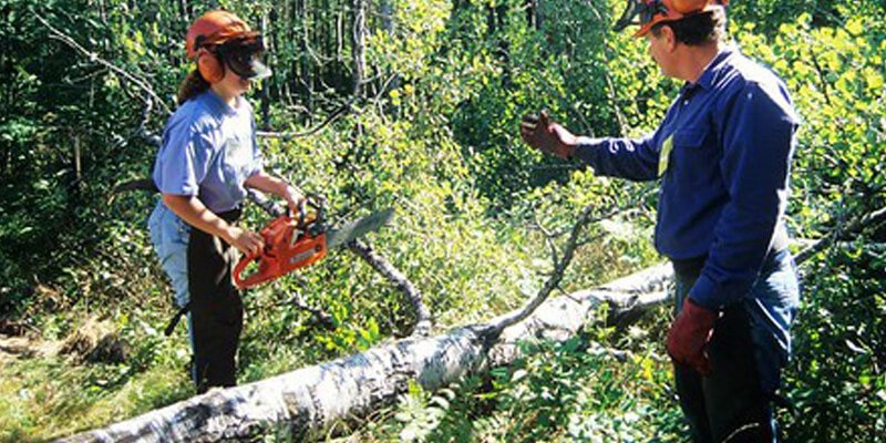 Best Small Chainsaw For A Woman