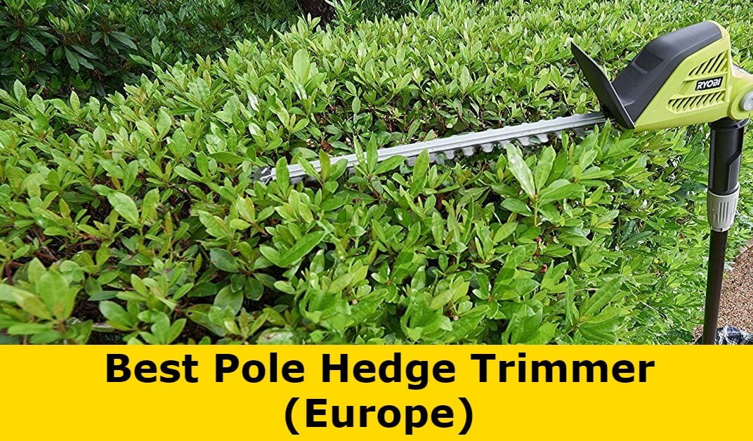The-Best-Pole-Hedge-Trimmer-Australia